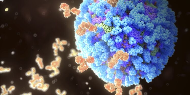 Descubren un interruptor que puede ayudar a combatir enfermedades autoinmunes