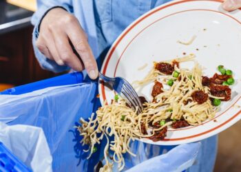 Revelan cuánta comida se tira en el mundo al año