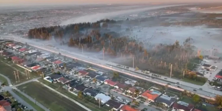 Incendios forestales en Miami-Dade están bajo control casi en su totalidad
