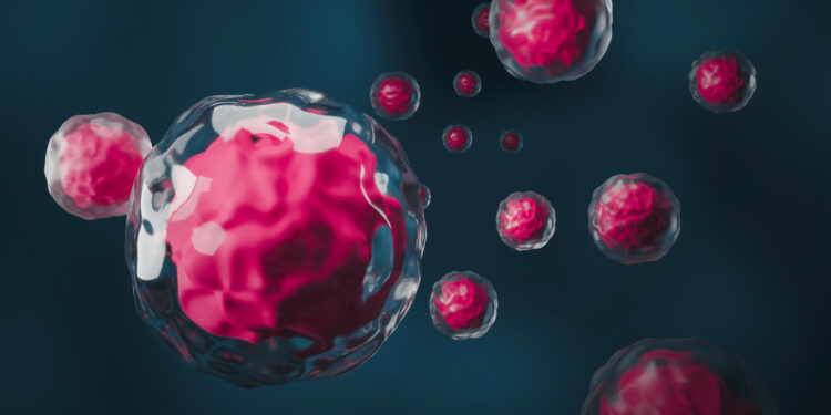 Innovadora terapia de anticuerpos promete rejuvenecer el sistema inmunológico