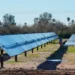 Biden conmemora el Día de la Tierra con proyecto de subvenciones para energía solar