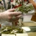 Posibilidad de legalizar la marihuana recreativa en Florida enciende las alarmas