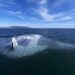 EEUU probó el prototipo de un dron submarino secreto