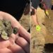 Una mujer halla un «inimaginable» tesoro medieval paseando por el campo