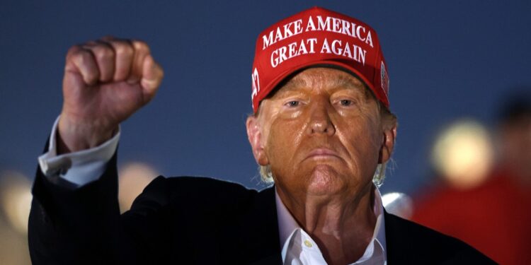 Trump considera indultar a Julian Assange