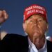 Trump considera indultar a Julian Assange