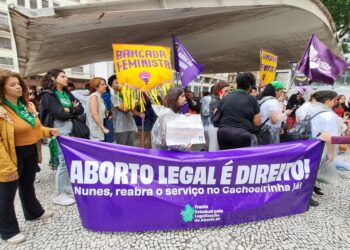 La ONU responde al proyecto de ley que busca igualar el aborto con el homicidio en Brasil