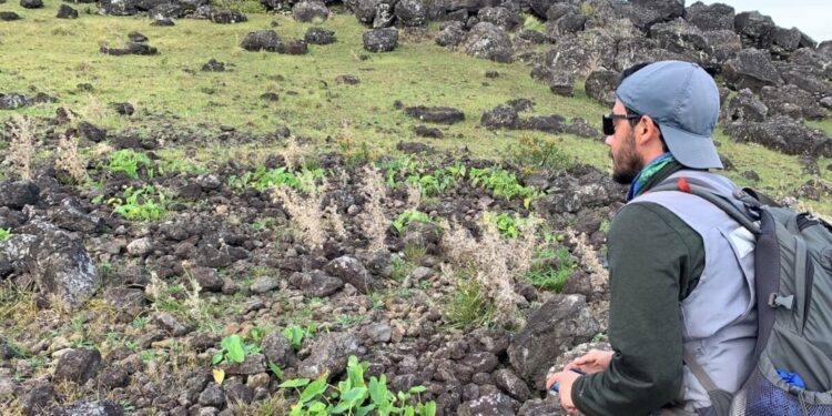 Estudio desmiente mito popular sobre la isla de Pascua