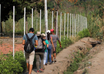 Colombia implementa nuevo permiso especial para migrantes venezolanos