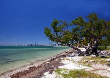 Condado de Miami-Dade cambia el nombre de una sección de Hobie Beach