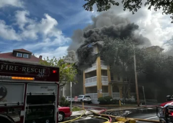 Identifican a sospechoso de tiroteo e incendio en edificio de Miami