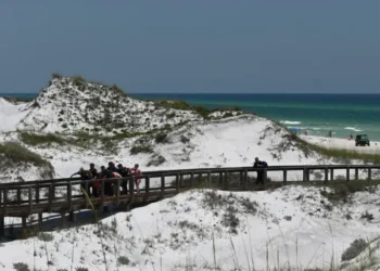 Tres personas resultaron heridas en dos ataques de tiburones en playas de Florida