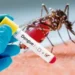 Emiten alerta epidemiológica tras confirmar casos de dengue en los Cayos de Florida