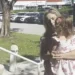 Madre de la niña desaparecida en Miami la entregó en una estación policial