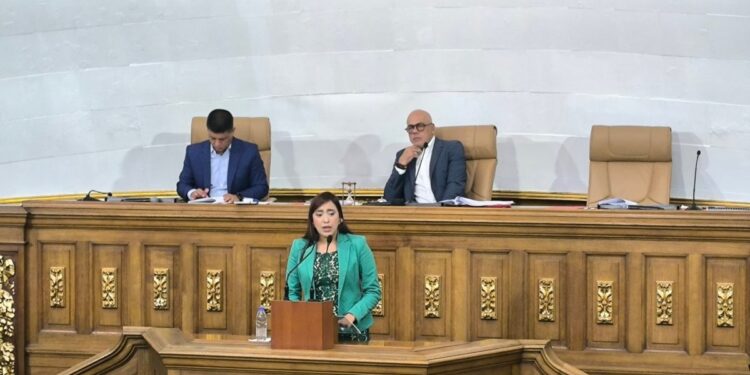 AN de 2020 culmina primer período de sesiones con sólo ocho leyes sancionadas