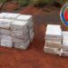 Reportan incautación de 4,4 toneladas de cocaína en la frontera de Venezuela-Guyana