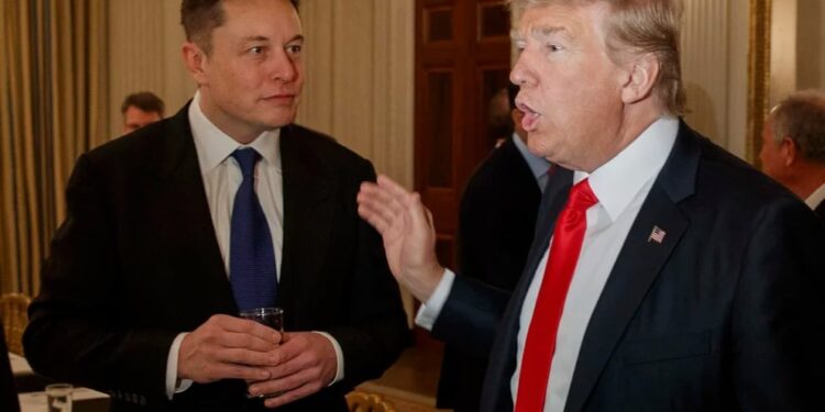 Trump podría darle a Elon Musk un papel en su gobierno si gana las elecciones
