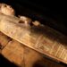Reconstruyen el rostro de una princesa sepultada en Egipto hace 2.500 años