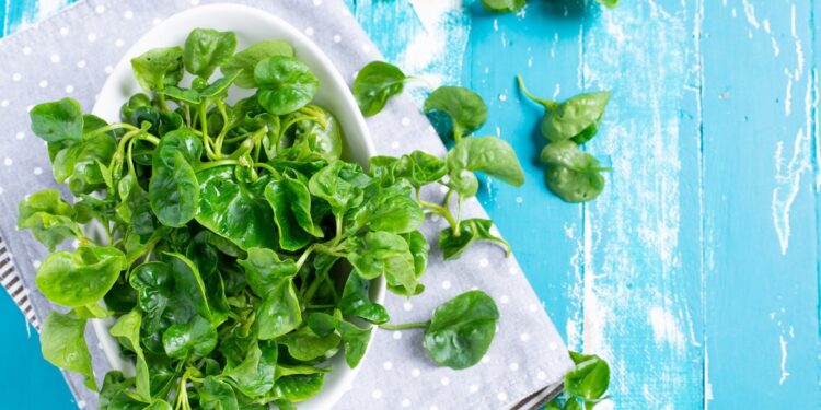 Esta es la verdura más saludable, que ayuda a todo el organismo y puede proteger del cáncer