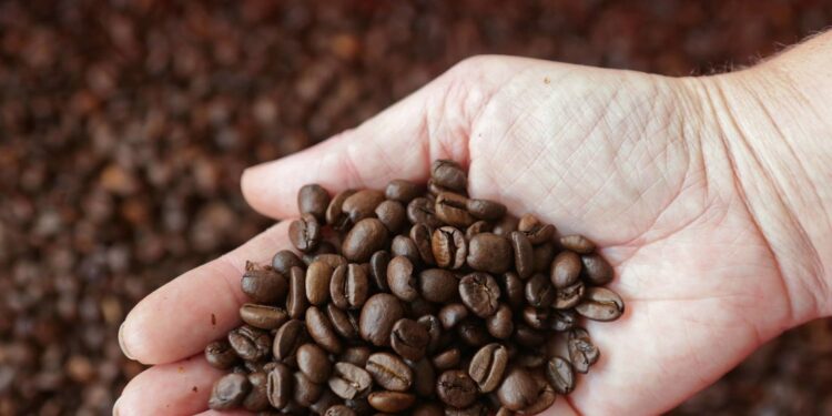 Los precios del café alcanzan su nivel más alto desde 1972