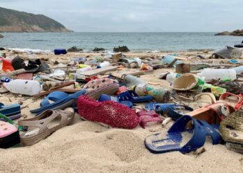 Detectan contaminación por piezas de plástico en al menos ocho playas de Florida