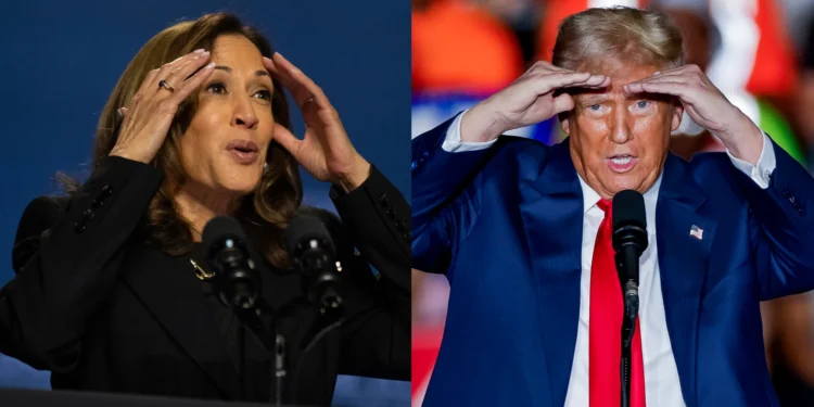 Maricopa, el condado que puede dar las llaves a Trump o Harris a la Casa Blanca