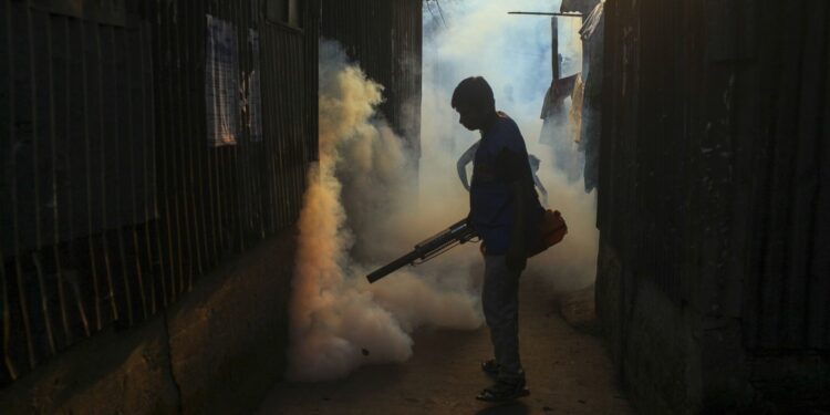 América vive la «epidemia más grande» de dengue desde que se tienen registros