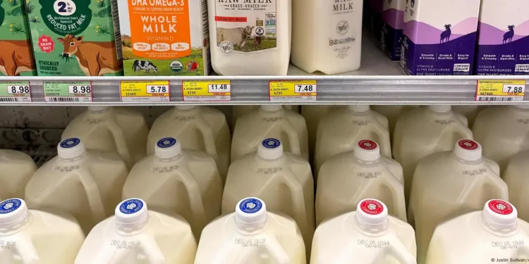 Detectado el primer caso grave de gripe aviar en EE. UU