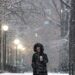 Nueva York enfrenta otra tormenta invernal: se esperan hasta 45 centímetros de nieve en algunos condados