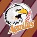 Águilas del Zulia le resuelve a sus jugadores y personal técnico, por Eliexser Pirela Leal