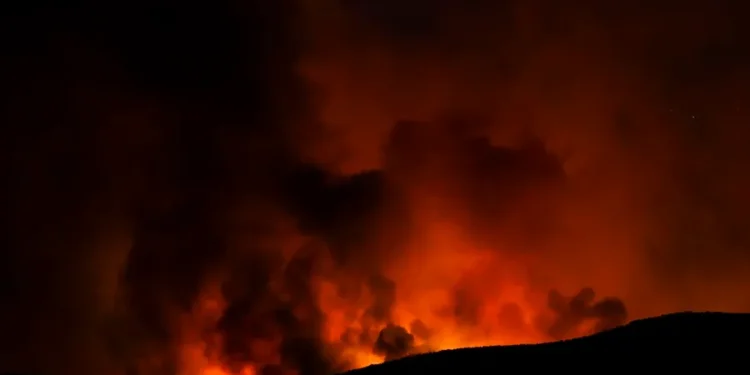 Arnold Schwarzenegger dona un millón de dólares para combatir incendios en Los Ángeles