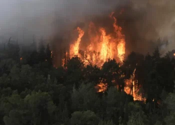 Alerta máxima por incendios en la región de Jerusalén