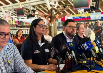 Ecarri busca llegar a la AN con una avalancha independiente y sacar a Rodríguez de la presidencia