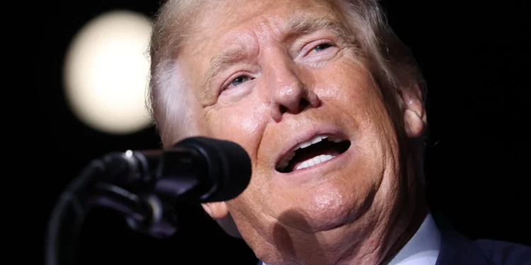 Presidente Donald Trump, ¿hagamos un trato?, por Ariel Montoya