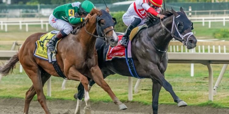 Journalism es el favorito en el Preakness Stakes