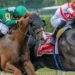Journalism es el favorito en el Preakness Stakes