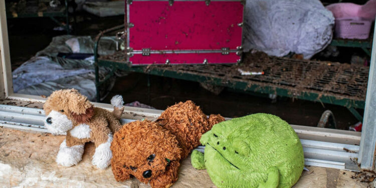 Animales de peluche en el alféizar de una ventana en Camp Mystic después de las letales inundaciones en el condado de Kerr, Texas. © REUTERS/Sergio Flores