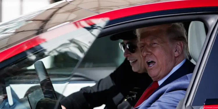 Trump a Musk: «Sin subsidios, tendría que irse a Sudáfrica»