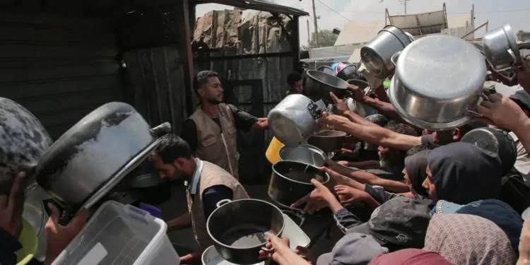 ONU declara oficialmente hambruna en Gaza