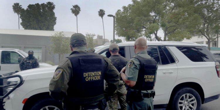 Arrestos de inmigrantes disminuye un 19% en el mes de julio en EEUU