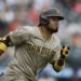 Luis Arráez llega a 1.000 hits en las Grandes Ligas