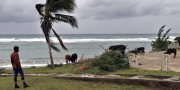 Melissa sacude el Caribe: Haití reporta víctimas, Cuba sufre daños y Jamaica enfrenta apagón masivo